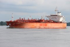 Thumbnail Image for NCC Reem oncontextmenu=