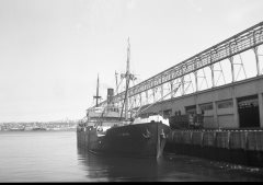 Thumbnail Image for Elfrida