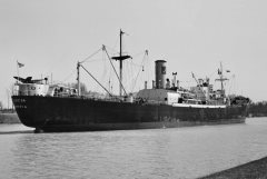 Thumbnail Image for Teresa oncontextmenu=