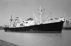 Thumbnail Image for Teresa oncontextmenu=