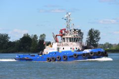 Thumbnail Image for Ocean Taiga oncontextmenu=