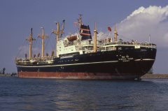 Thumbnail Image for Vishva Yash oncontextmenu=