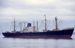 Thumbnail Image for Volta Peace oncontextmenu=