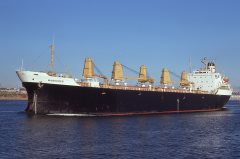 Thumbnail Image for Wanderer oncontextmenu=