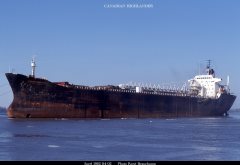 Thumbnail Image for Canadian Highlander oncontextmenu=