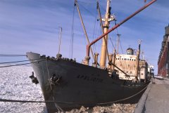 Thumbnail Image for Apeliotis oncontextmenu=