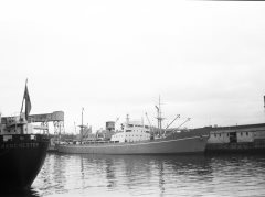 Thumbnail Image for Irish Pine oncontextmenu=