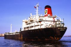 Thumbnail Image for British Maple oncontextmenu=