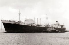 Thumbnail Image for Christine G. Chimples oncontextmenu=