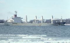 Thumbnail Image for Graziela Ferraz oncontextmenu=