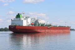 Thumbnail Image for Pacific Emerald oncontextmenu=