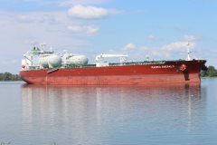 Thumbnail Image for Pacific Emerald oncontextmenu=