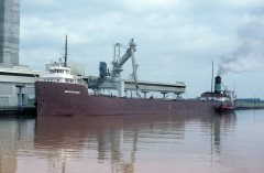 Thumbnail Image for Merle M. McCurdy