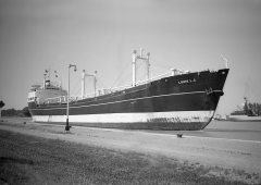 Thumbnail Image for Louis L.D.