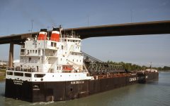 Thumbnail Image for H.M. Griffith