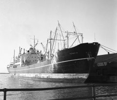 Thumbnail Image for Pierre L.D.