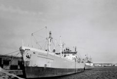 Thumbnail Image for Kronviken