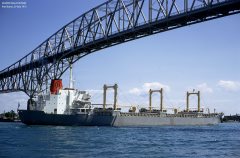 Thumbnail Image for Leonis Halcoussis