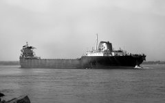 Thumbnail Image for Thomas F. Patton