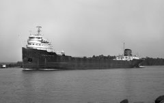 Thumbnail Image for Thomas F. Patton