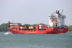 Thumbnail Image for Peyton Lynn C