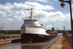 Thumbnail Image for Vandoc