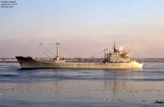 Thumbnail Image for Mardina Trader oncontextmenu=