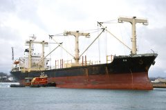 Thumbnail Image for Fir oncontextmenu=