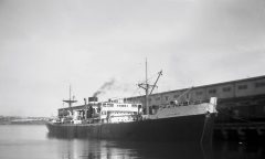 Thumbnail Image for Lloydcrest