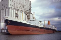 Thumbnail Image for Olympic Sky