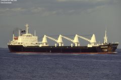 Thumbnail Image for Pergamos