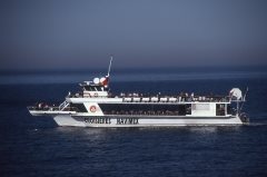 Thumbnail Image for Cavalier Royal