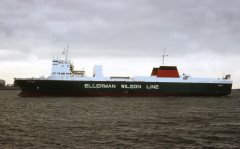 Thumbnail Image for Cavallo