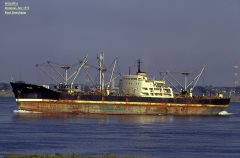 Thumbnail Image for Philippa