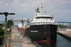 Thumbnail Image for Canadian Transfer