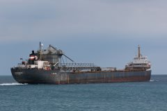 Thumbnail Image for Algomarine