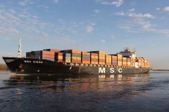 Thumbnail Image for MSC Diego