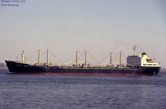 Thumbnail Image for Windsor Carrier