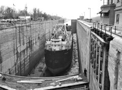 Thumbnail Image for Stonefax