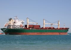 Thumbnail Image for Bluewing