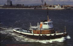 Thumbnail Image for Charlie S.