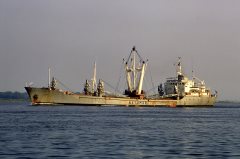 Thumbnail Image for Amazonia