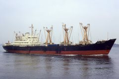 Thumbnail Image for Anat