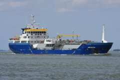 Thumbnail Image for Brisote