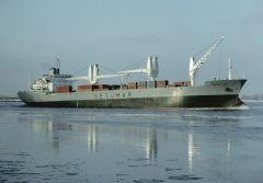 Thumbnail Image for Henrique Leal