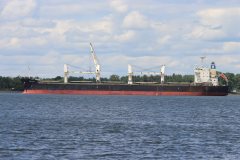 Thumbnail Image for Serene Amelia