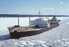 Thumbnail Image for Rokos V.