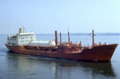 Thumbnail Image for Bow Elm