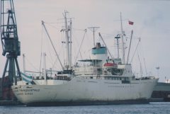 Thumbnail Image for Cacique Yanquetruz