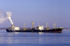 Thumbnail Image for Calypso